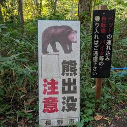Bären! Am Klettersteig