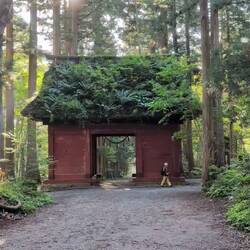 Tor zur Zedernallee- sehr beeindruckend