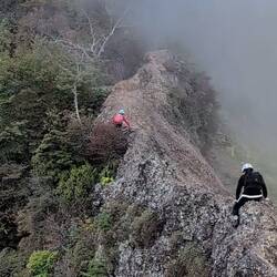 Mama vorn, Schwiegersohn in schwarz, Tochter macht Fotos