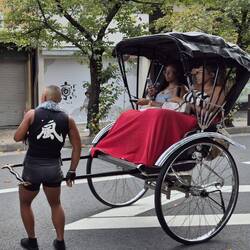 Bei dem Job braucht man kein Fitnessstudio mehr