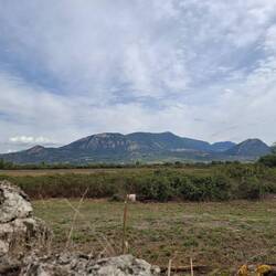 Über die Mauer geschaut