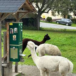 Schön warten, der nächste Euro fällt bestimmt darein...😋🤤