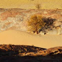 Unsere erste Düne, noch sind wir aber in der Steinnamib