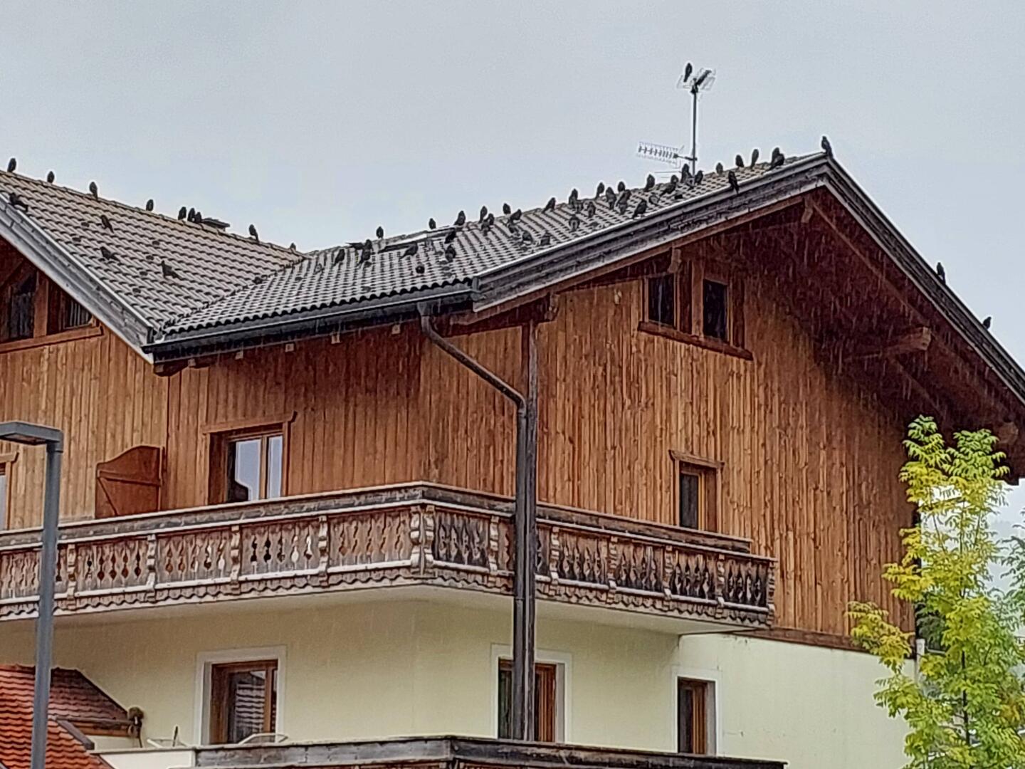 There are a lot of crows here, hence the name of the town .