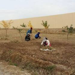Gartenarbeit auf dem Platz vor der Kunya Ark-Zitadelle