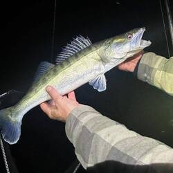 Steffen sorgt für einen Zander