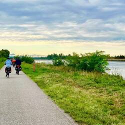 Quiet paths along the Rhone