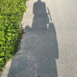 Afternoon shadows are getting so long