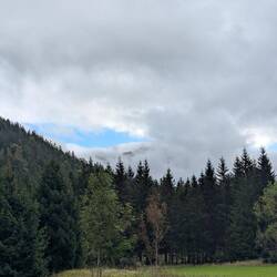 Der erste blaue Fleck