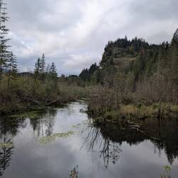 Renaturierung der Lech