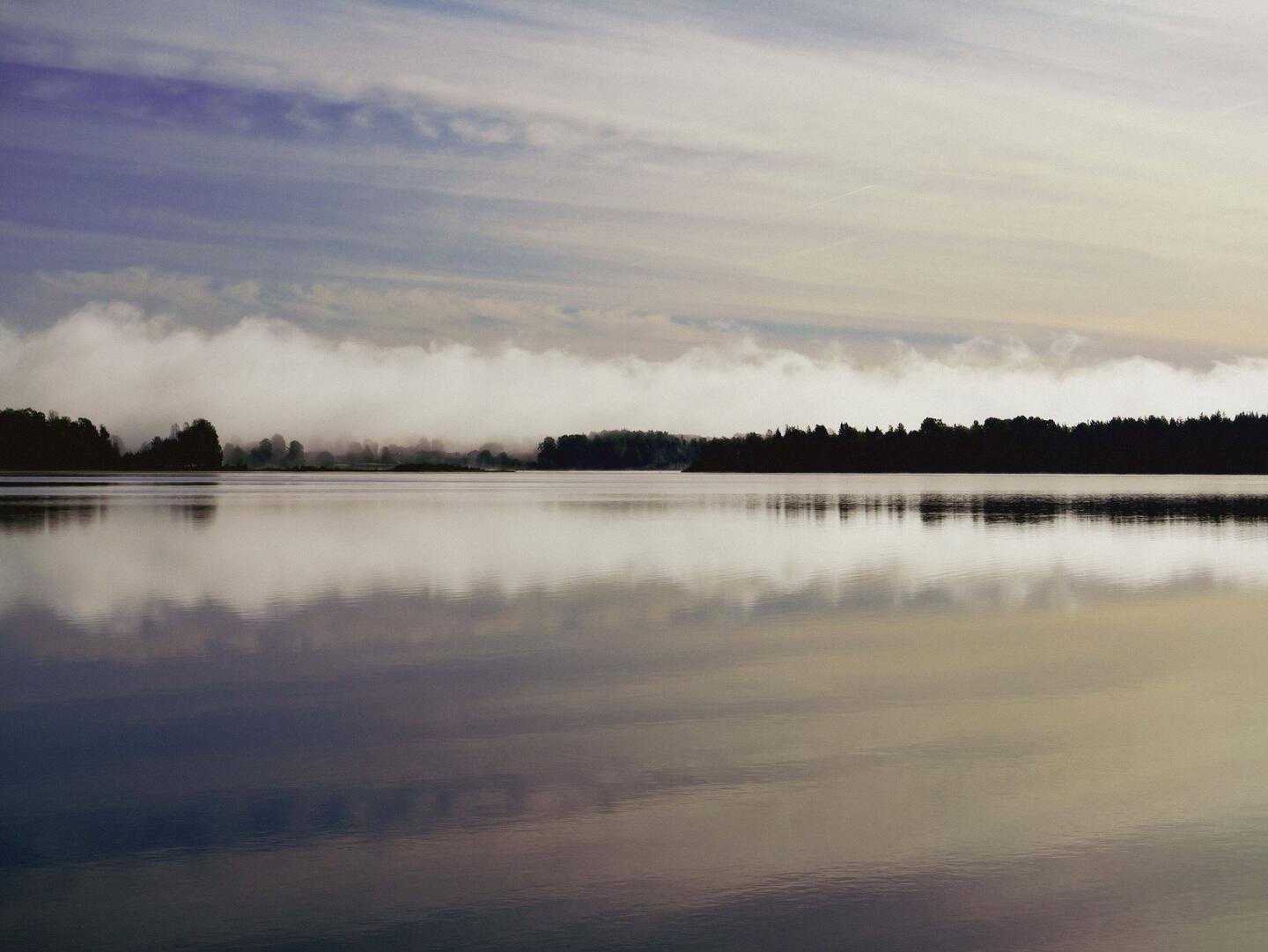 Morgennebel