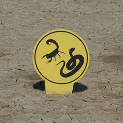 The extras that come with the terrain