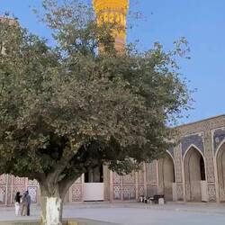 Mosque courtyard