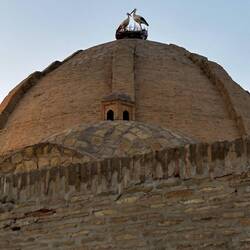 Storks on the dome. National bird of Uzbekistan