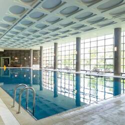 Penguin got her pool and swam 1km in the tepid waters