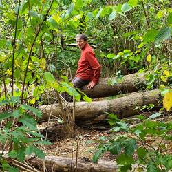 Kleine Kletterpartie