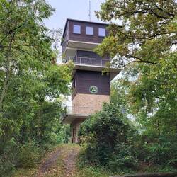 Der Harlyturm hat nur sonntags geöffnet...