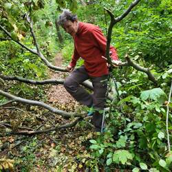 Mit viel Geschick meistert Wolli auch diese Passage.