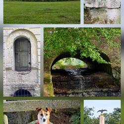 Schloss Königswart des Fürst von Metternich 🍾
