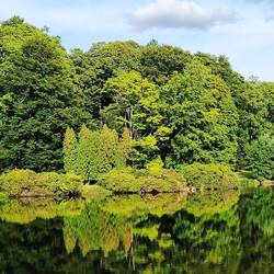 Im Park des Fürsten