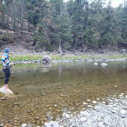 Fishing at Bromley Rock