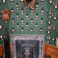 Erlegt nicht in den NL sondern in Mecklenburg