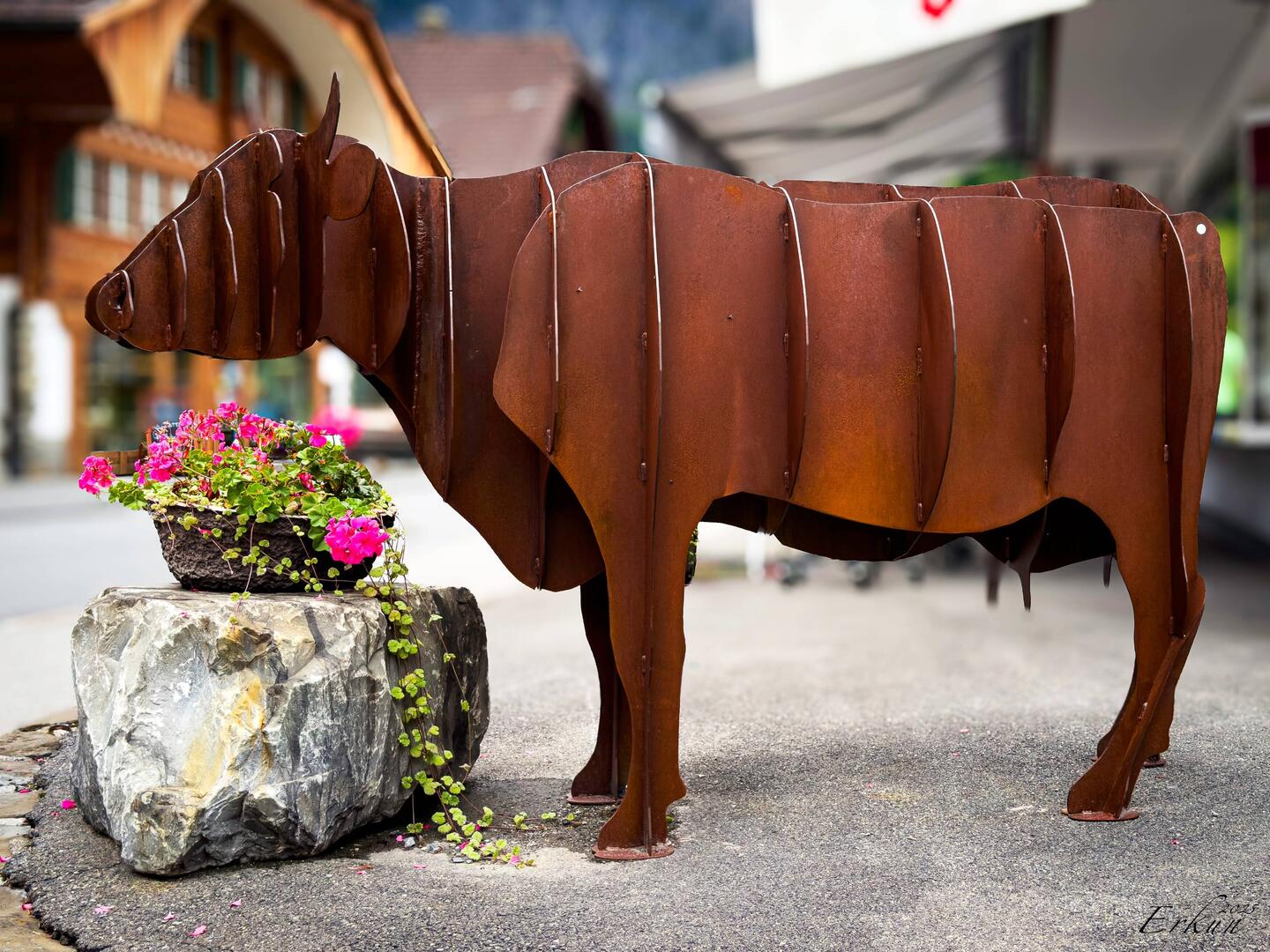 Welcome committee — Kandersteg, Switzerland.