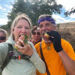 He shook an apple tree and at least a dozen apples fell to the ground. They were delicious!