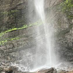 Keiner außer mir wollte schwimmen😄