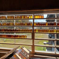 Each row, bottles from finished batch. Each row a year, top four years ago..