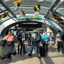 NFL! Pittsburgh Steelers gegen die Minnesota Vikings