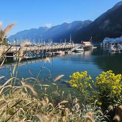 Horseshoe Bay - gegenüber ist das Fährterminal