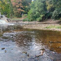 Mill Dam
