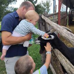 Bon repas et animaux de la ferme
