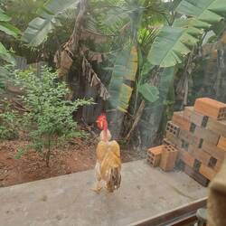 Mein Wecker dieser Morgen...