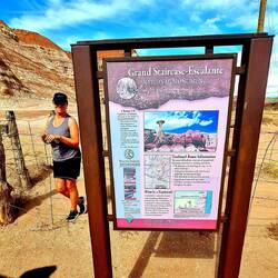 Wir gehen Pilze suchen🤣