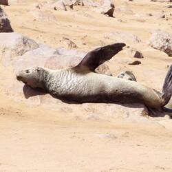 So schön kann chillen sein...