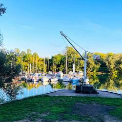 Adecuado para pescar, aquí hay "pez gato"