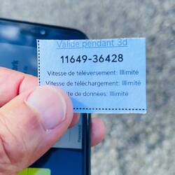 Lo más importante en un camping, la clave del Internet