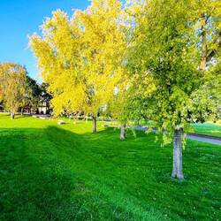 Precioso parque en las inmediaciones