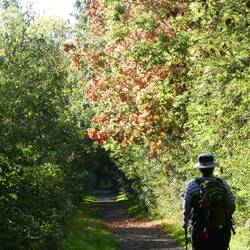 Former Beverley to Market Weighton railway