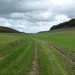 A classic Wolds 'dry valley' ... underlying chalk provides excellent drainage