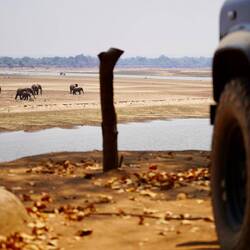 Landy geniesst die Aussicht auf Elefanten, Kroks und Hippos