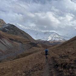 Blazing a trail