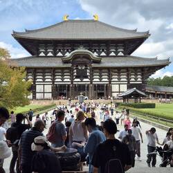 In dieser Halle steht ein 16 m hoher Bronzebuddha