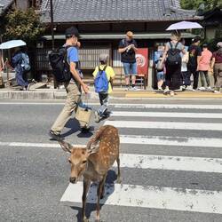 Platz da, hier komme ich