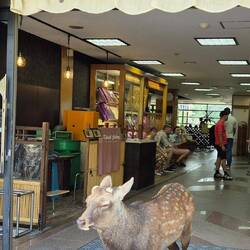 Du musst erst an mir vorbei 😀