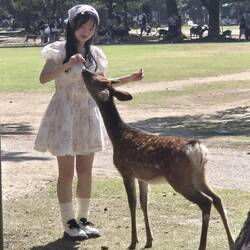 Spezielles Tierfutter gibt es zu kaufen
