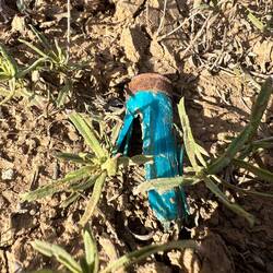 Überall liegt alte Munition herum