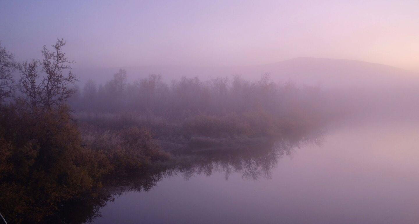 Nebel, Frost und Sonnenaufgang...
